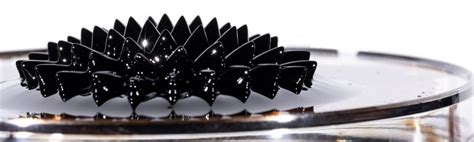 Magic triumphed over ferrofluid